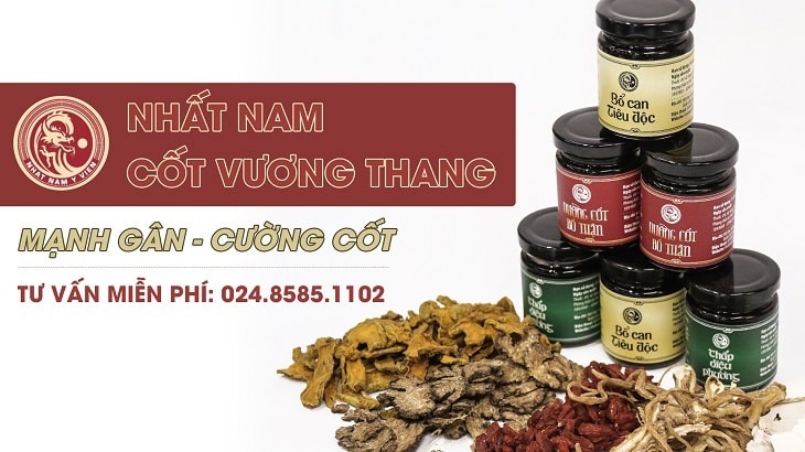 bài thuốc nhất nam cốt vương thang 