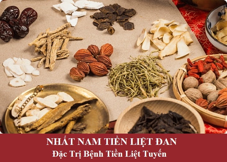 nhất nam tiền liệt đan chữa tiền liệt tuyến 