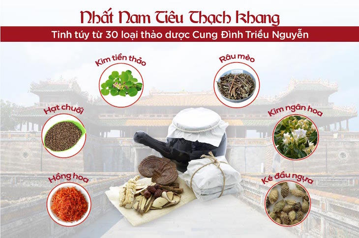 bài thuốc quý từ tinh hoa trong cuốn Châu bản triều Nguyễn - Ngự dược nhật ký