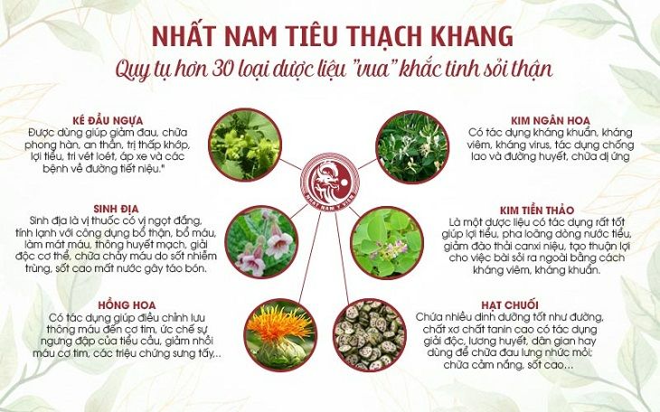 Thành phần dược liệu của bài thuốc