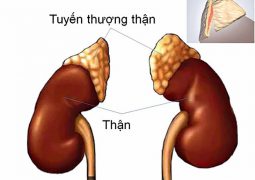 Suy thượng thận hay còn gọi là suy tuyến thượng thận là tình trạng tuyến thượng thận sản sinh quá ít cortison