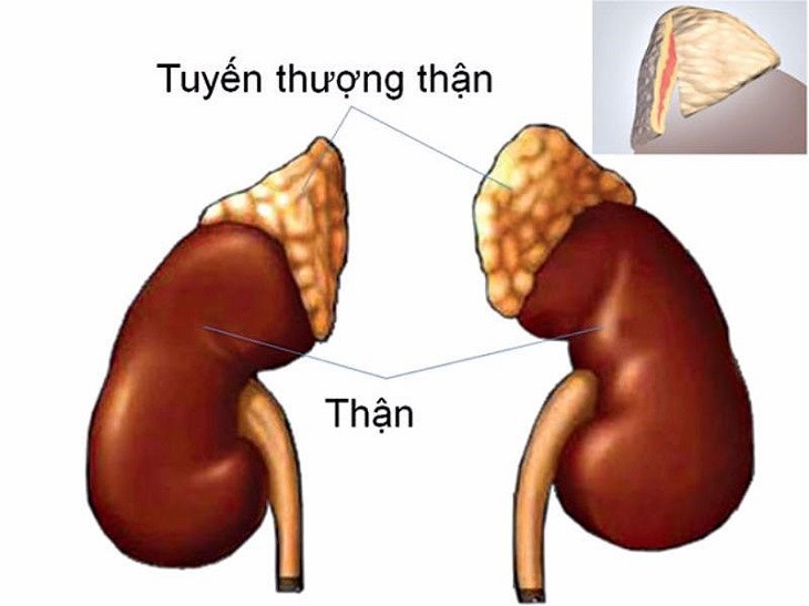 suy thuong than man