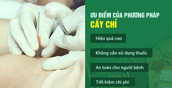 cay chi chua thoa vi dia dem