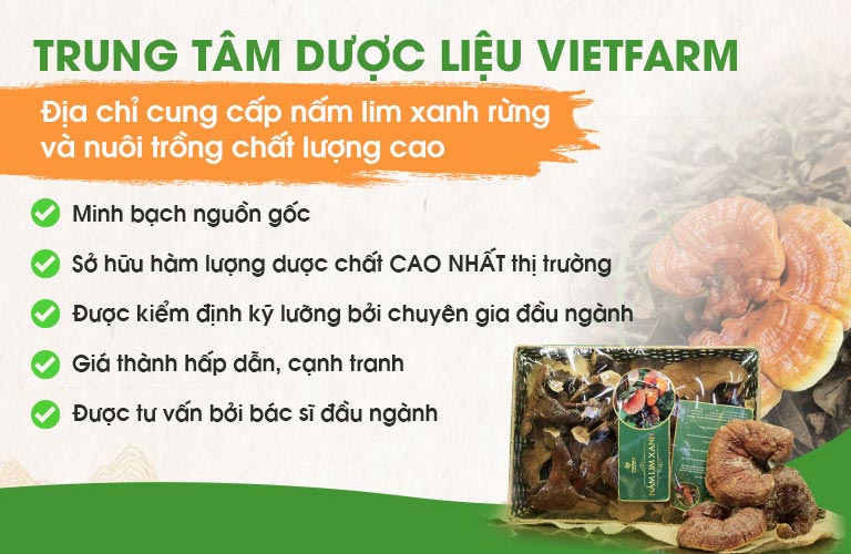 Nấm lim xanh Vietfarm được hàng triệu người yêu thích