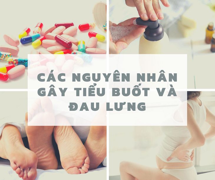 tieu buot va dau lung