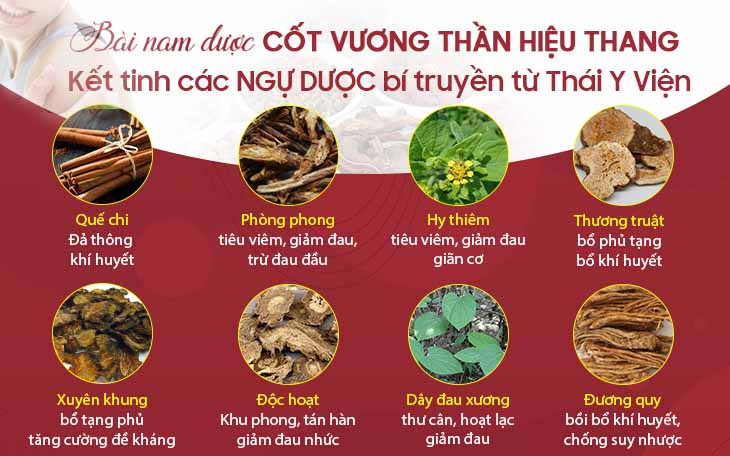 Một số thành phần chính trong bài thuốc Cốt Vương thần hiệu thang