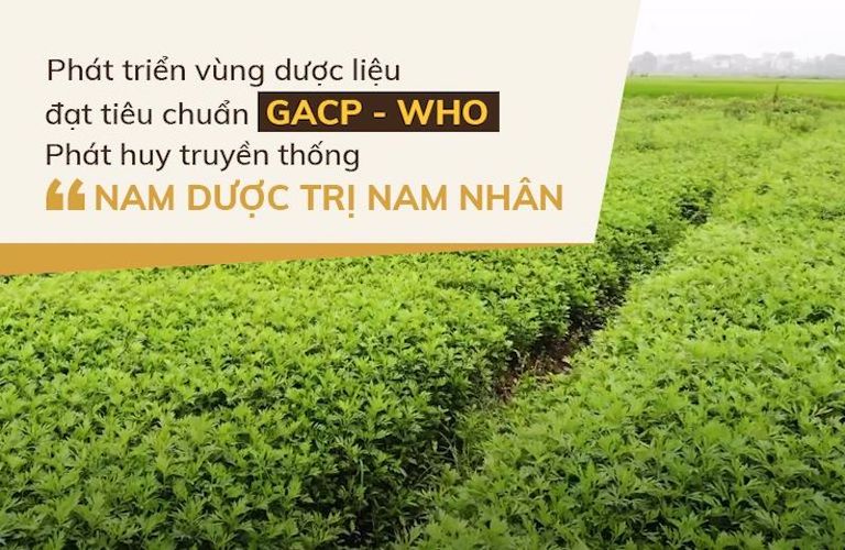 Thảo dược của Đỗ Minh Đường được cam kết nguồn gốc xuất xứ