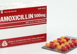 Amoxicillin là kháng sinh đặc hiệu được chỉ định dùng để ức chế hoạt động của vi khuẩn Hp