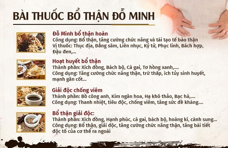 Thành phần, công dụng bài thuốc Bổ Thận Đỗ Minh 