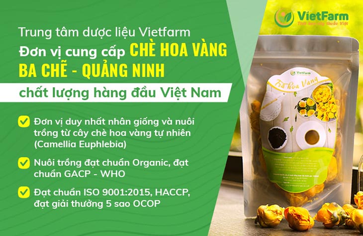 Trung tâm dược liệu Vietfarm - Đơn vị cung cấp trà hoa vàng uy tín, chất lượng nhất trên thị trường hiện nay