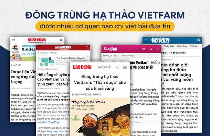 Nhiều trang báo chí chính thông trên cả nước đưa tin về Đông trùng hạ thảo Vietfarm