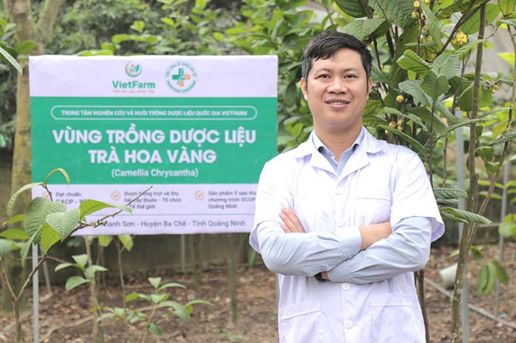 Vùng trồng trà hoa vàng của Trung tâm dược liệu Vietfarm đạt chuẩn GACP - WHO