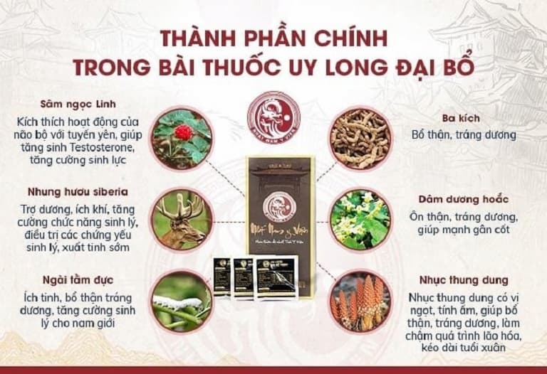 Công dụng của các loại dược liệu có trong bài thuốc Uy Long Đại Bổ