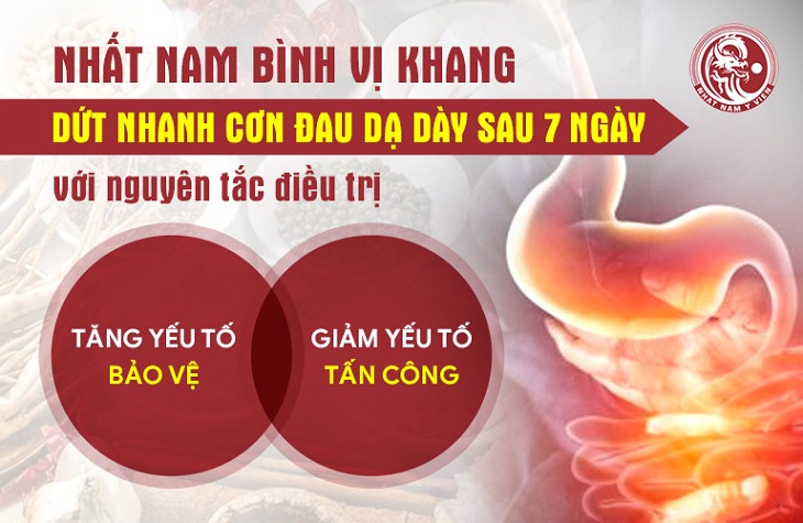 Bài thuốc giúp tăng cường yếu tố bảo vệ, giảm yếu tố tấn công dạ dày