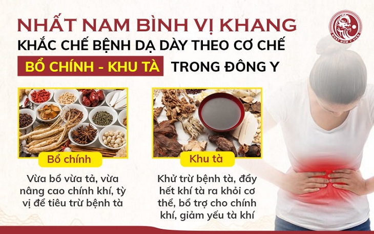 Nhất Nam Bình Vị Khang có tác dụng khu tà, bổ chính, điều trị các chứng bệnh về dạ dày theo đúng nguyên tắc của Đông y