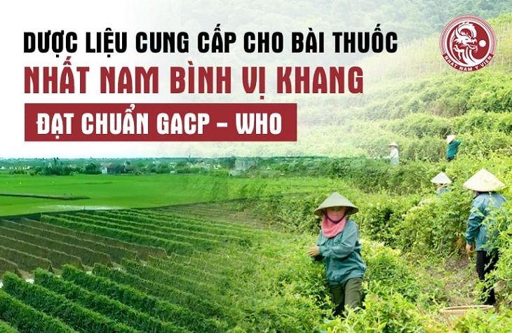 Dược liệu trong bài thuốc 100% lấy từ vườn dược liệu đạt chuẩn GACP - WHO