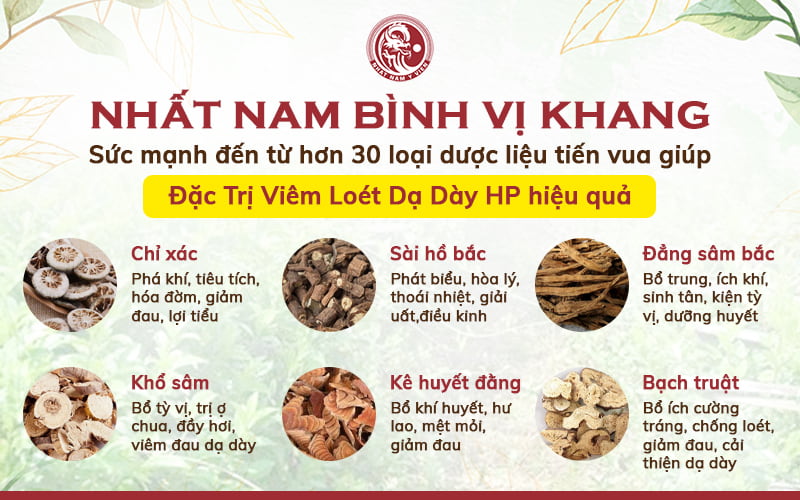 Tinh hoa dược liệu tiến vua được nghiên cứu và chọn lọc kĩ lưỡng trong bài thuốc Nhất Nam Bình Vị Khang