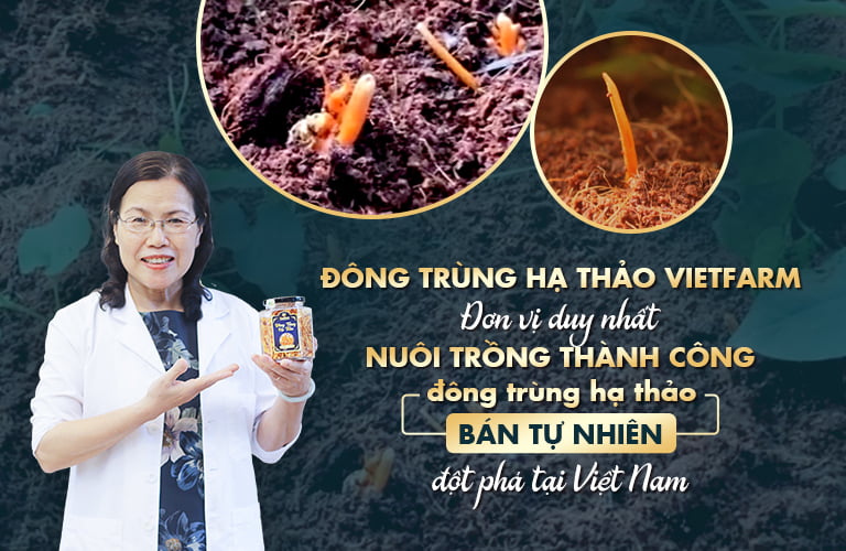 nuoc yen dong trung ha thao