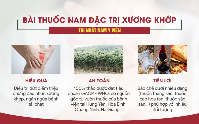 Bài thuốc Cốt vương thần hiệu thang sử dụng 100% nam dược