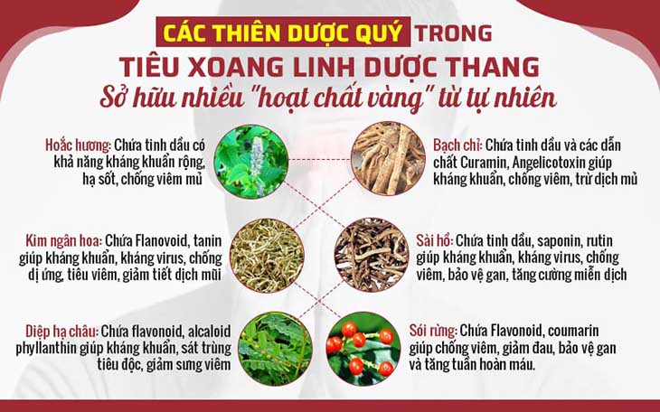 Một số thành phần có tác dụng cải thiện triệu chứng nhanh