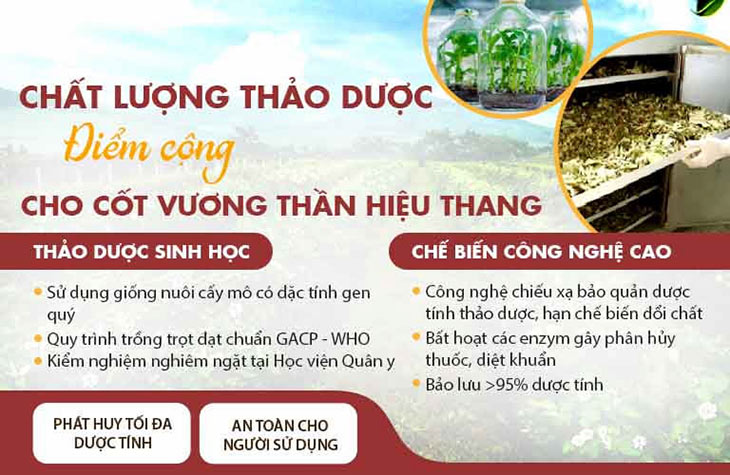 mo noi soi thoat vi dia dem bao nhieu tien