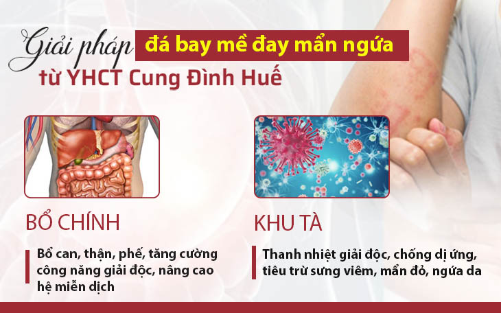 Cơ chế bổ chính khu tà mang lại hiệu quả toàn diện