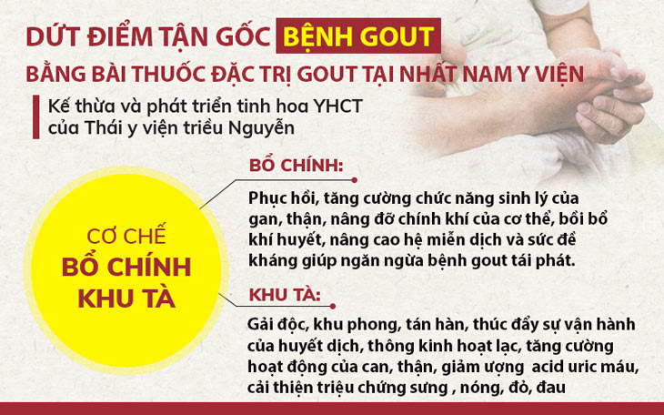 Cơ chế bổ chính khu tà giúp xử lý bệnh gout toàn diện