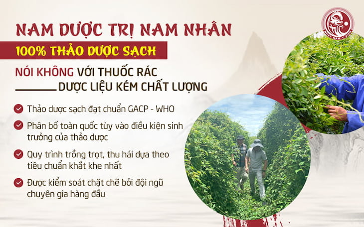 Nhất Nam y viện sử dụng 100% thảo dược đạt chuẩn