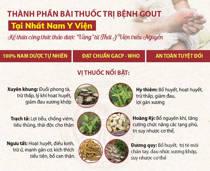 Bài thuốc đặc trị gout Nhất nam Y Viện có thành phần là các thảo dược cung đình, tính an toàn cao