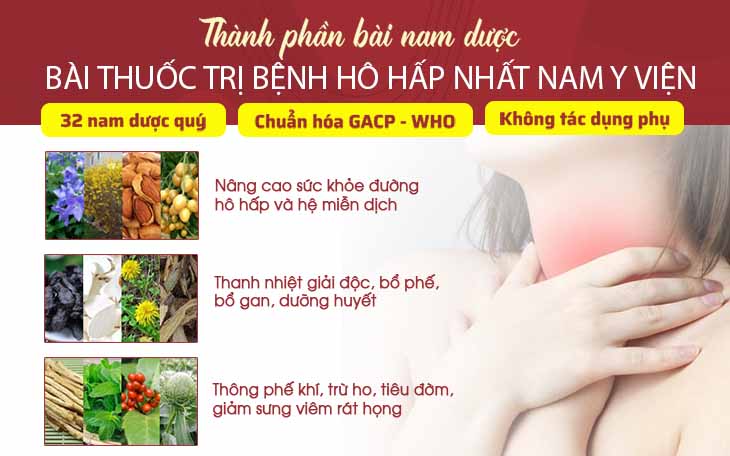 Bài thuốc trị bệnh hô hấp Nhất Nam y viện chia thành từng nhóm thảo dược riêng biệt