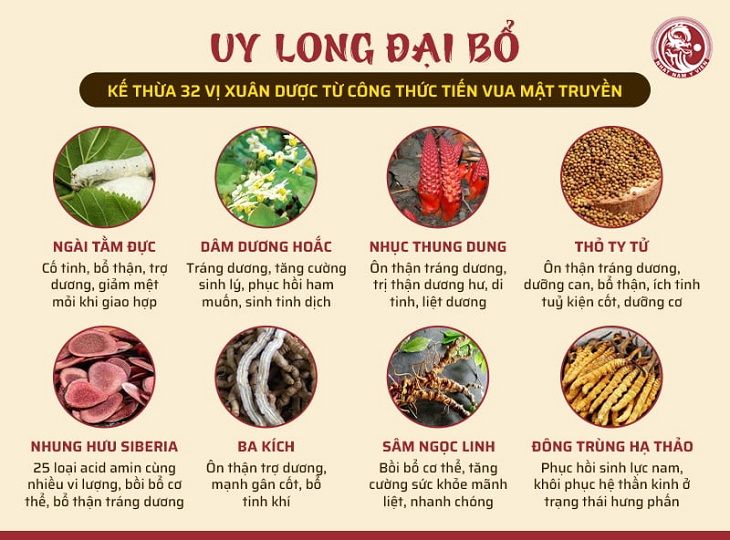 Thành phần chính trong bài thuốc Uy Long Đại Bổ