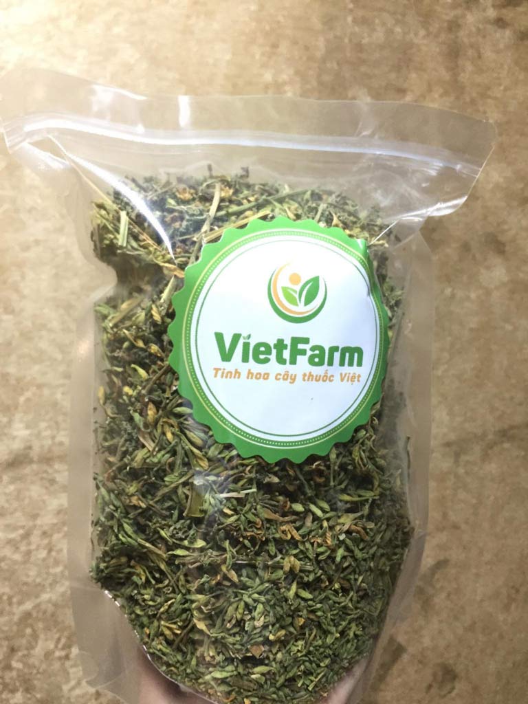 Hoa đu đủ đực Vietfarm sấy khô công nghệ Nhật Bản đạt chuẩn GACP