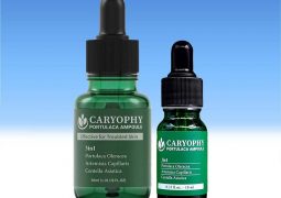 Caryophy Portulaca Ampoule