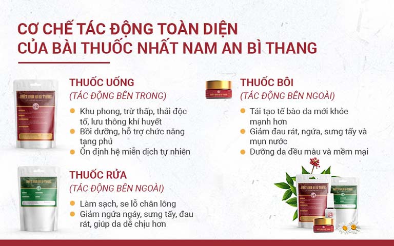 Nhất Nam An Bì Thang mang đến cơ chế điều trị toàn diện và hiệu quả