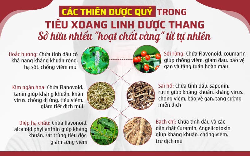 Các thiên dược quý có trong Tiêu xoang linh dược thang