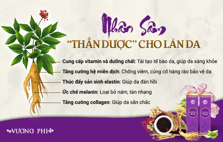 Nhân sâm là thảo dược có khả năng kích thích sản sinh collagen