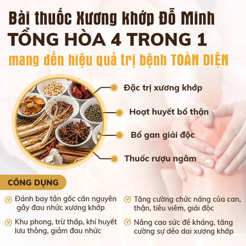 Tác dụng bài thuốc Xương Khớp Đỗ Minh