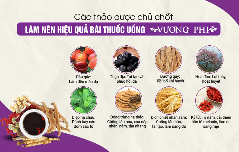 Các thảo dược chính có trong liệu trình Vương Phi