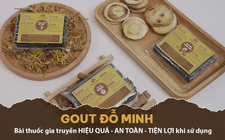 Bài thuốc trị gout của Đỗ Minh Đường