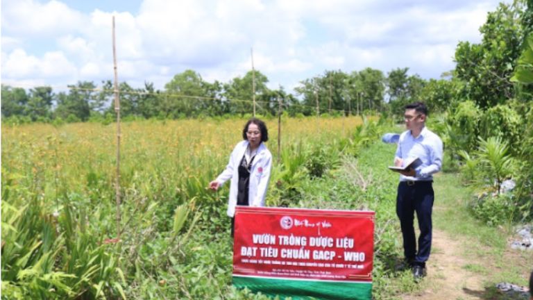 Bác sĩ Lê Phương tham gia vào quá trình giám sát vườn dược đạt chuẩn GACP - WHO của Nhất Nam Y Viện