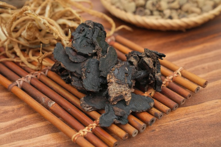 Bài thuốc điều trị rụng tóc của Nam Y Đỗ Minh Đường mang đến những công dụng khá nổi bật