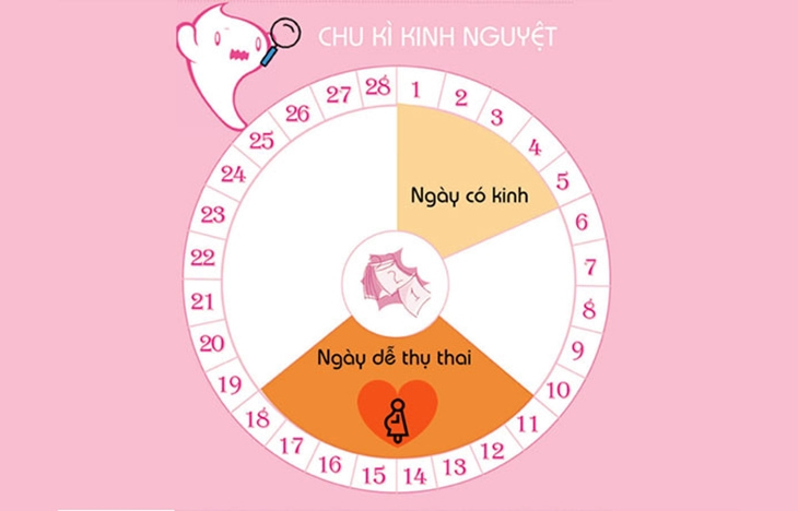 Chi Tiết Cách Tính Ngày An Toàn Tránh Mang Thai Ngoài Ý Muốn