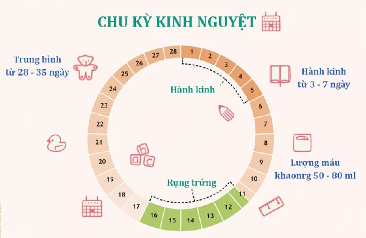 chu kỳ kinh nguyet ngan