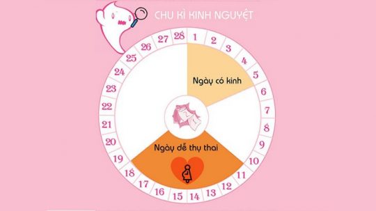 Tránh Thai Theo Chu Kỳ Kinh Nguyệt Thế Nào Mới Chuẩn Xác?