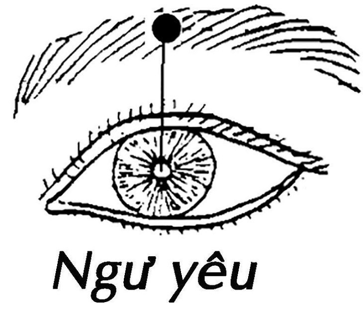 huyet ngu yeu