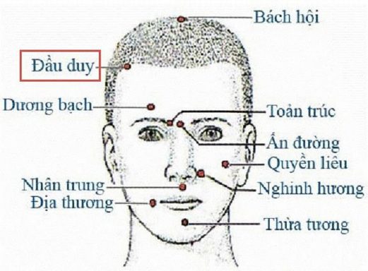 Huyệt Đầu Duy Ở Đâu? Có Công Dụng Gì Với Sức Khỏe?