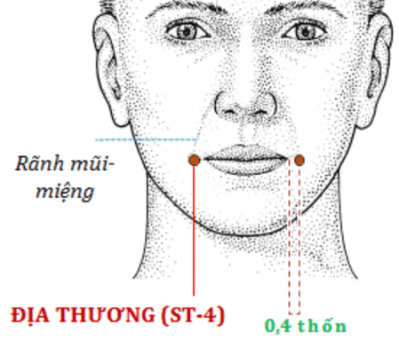 Huyệt Địa Thương: Vị Trí, Công Dụng Và Cách Tác Động