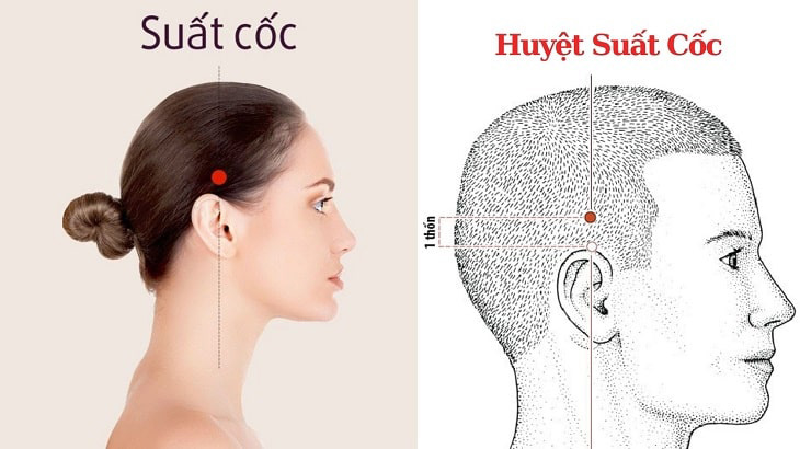 Huyệt Suất Cốc còn được biết đến với cái tên là huyệt Suất Cốt, huyệt Nhĩ Tiêm