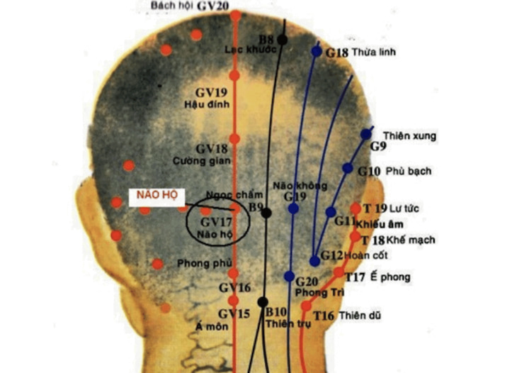 huyet nao ho