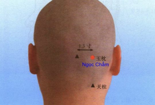 Huyệt Ngọc Chẩm Và Những Điều Bạn Chưa Biết